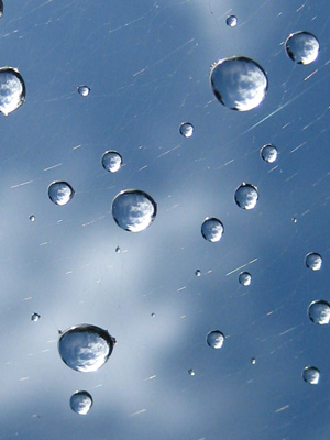 drops of dew hover in the sky reflecting the clouds around them in this peaceful, meditative, nature photograph