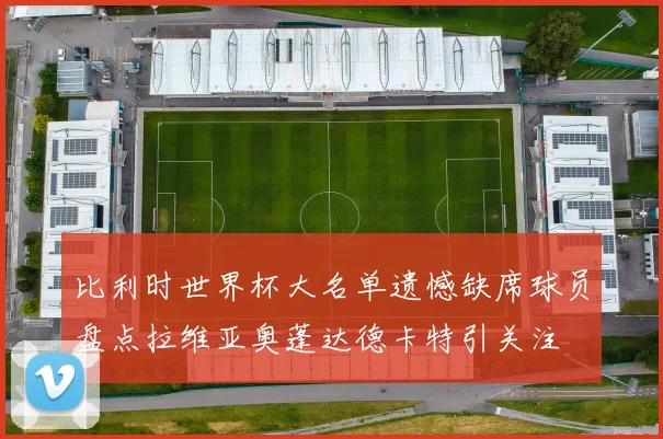 比利时世界杯大名单遗憾缺席球员盘点拉维亚奥蓬达德卡特引关注