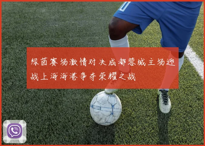 绿茵赛场激情对决成都蓉城主场迎战上海海港争夺荣耀之战
